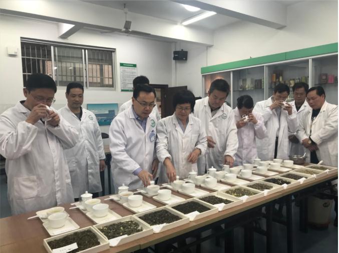 瀟湘茶業(yè)開展花茶審評和座談會，劉仲華院士等專家共謀花茶產(chǎn)業(yè)發(fā)展
