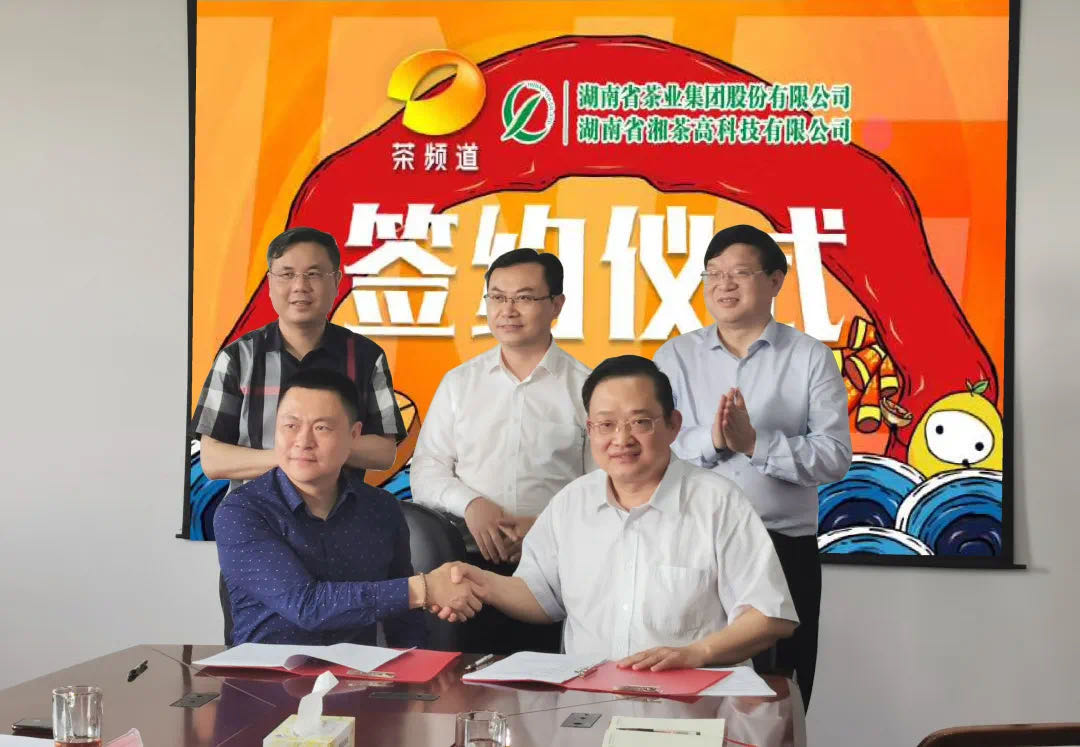 院士見證，輕輕茶發(fā)力品牌建設(shè)，與茶頻道達(dá)成深度合作