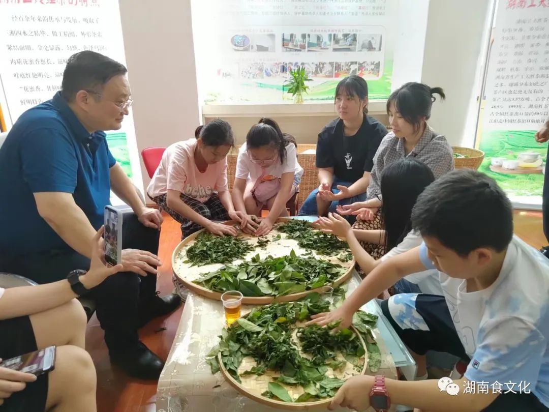 原載人民日報(bào)“人民視點(diǎn)”茶葉是怎樣做出來的？湖南大、中、小學(xué)生體驗(yàn)湖南工夫紅茶制作